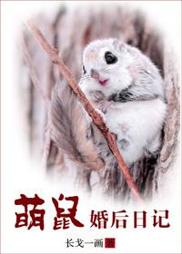 影帝的婚后日记