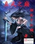 真武巅峰境界划分详细介绍