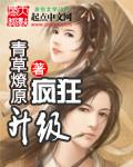 疯狂升级系统 百科