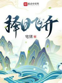 择日飞升许应几个妻子