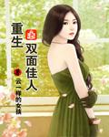 双面佳人主题曲