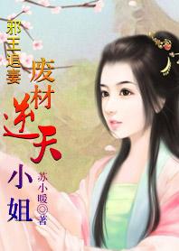 误惹妖孽王爷废材逆天四小姐最