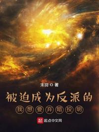 书名被迫成为反派赘婿