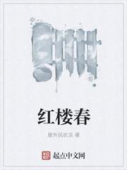 红楼春梦有声