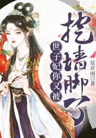 世子妃你又被挖墙脚了 莫非雨 免费