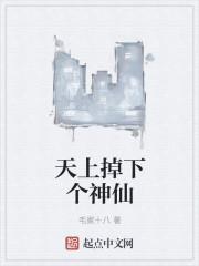 天上掉下个神仙媳妇第四集