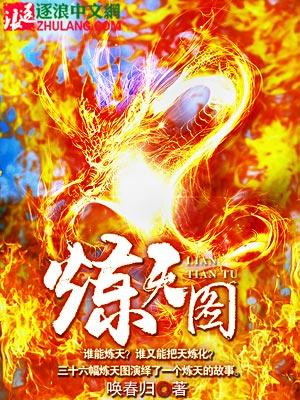 炼天图楚枫免费阅读全文无弹窗