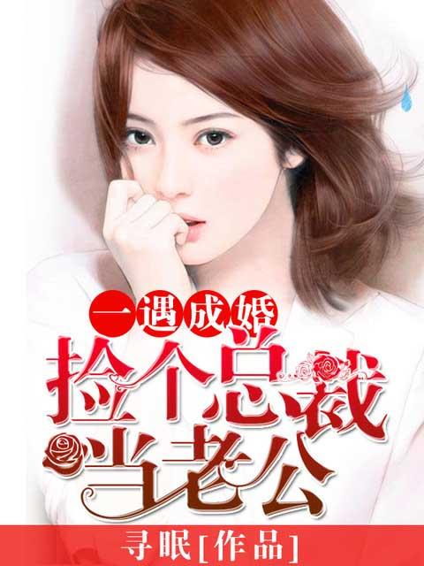 捡一个总裁老公带回家