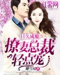 日久成瘾撩婚总裁轻点宠