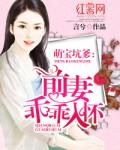 萌宝坑爹前妻乖乖入怀600集