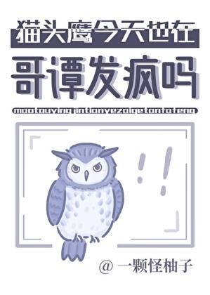 猫头鹰今天也在哥谭发疯吗
