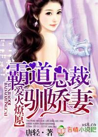 爱火燎原，霸道总裁驯娇妻